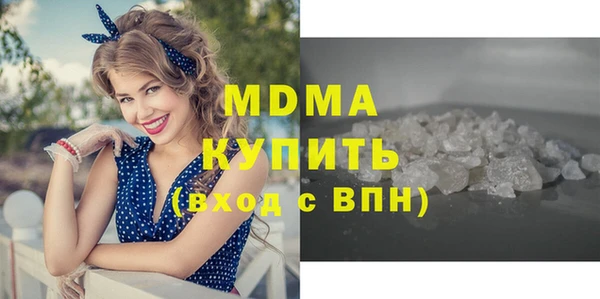 хмурый Аркадак
