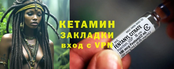 хмурый Аркадак