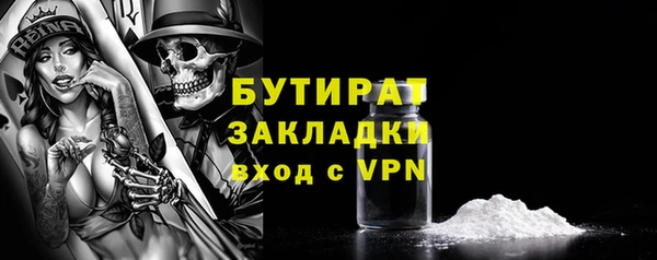 хмурый Аркадак
