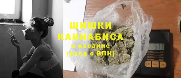 хмурый Аркадак