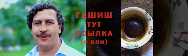 хмурый Аркадак