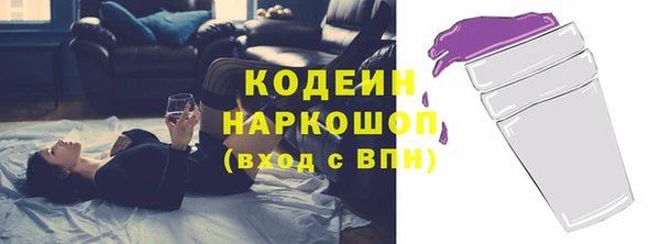 хмурый Аркадак
