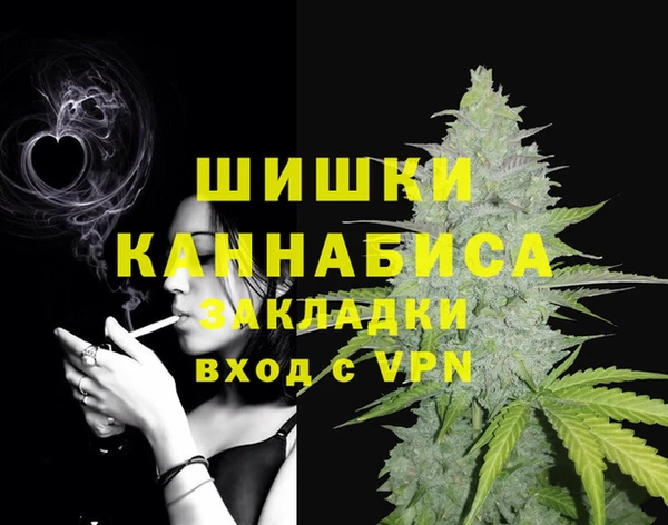 ГАЛЛЮЦИНОГЕННЫЕ ГРИБЫ Армянск