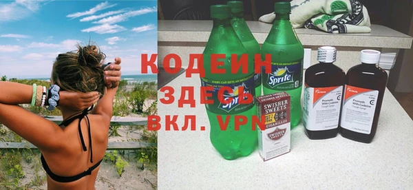 хмурый Аркадак