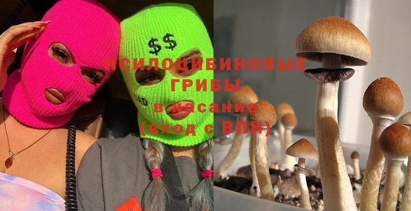 ГАЛЛЮЦИНОГЕННЫЕ ГРИБЫ Армянск