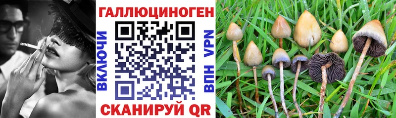 Галлюциногенные грибы MAGIC MUSHROOMS  omg   мориарти Telegram  Зея 